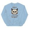 Sudadera gato ¿DÓNDE ESTÁN MIS HUEVOS? azul claro