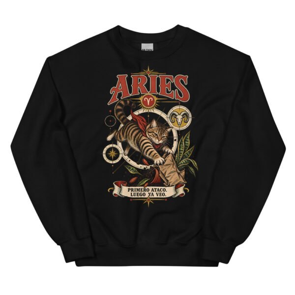 Sudadera gatos Aries en color negro, vista plana