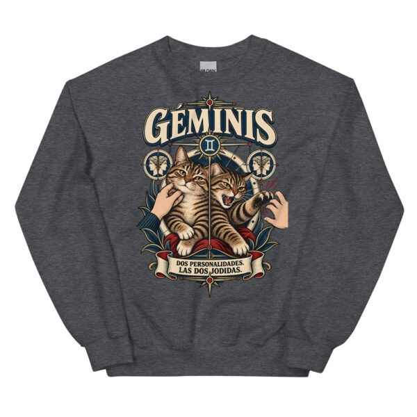 Sudadera gatos Géminis en color oscuro jaspeado, vista plana