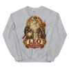 Sudadera gatos Leo en color gris deportivo, vista plana